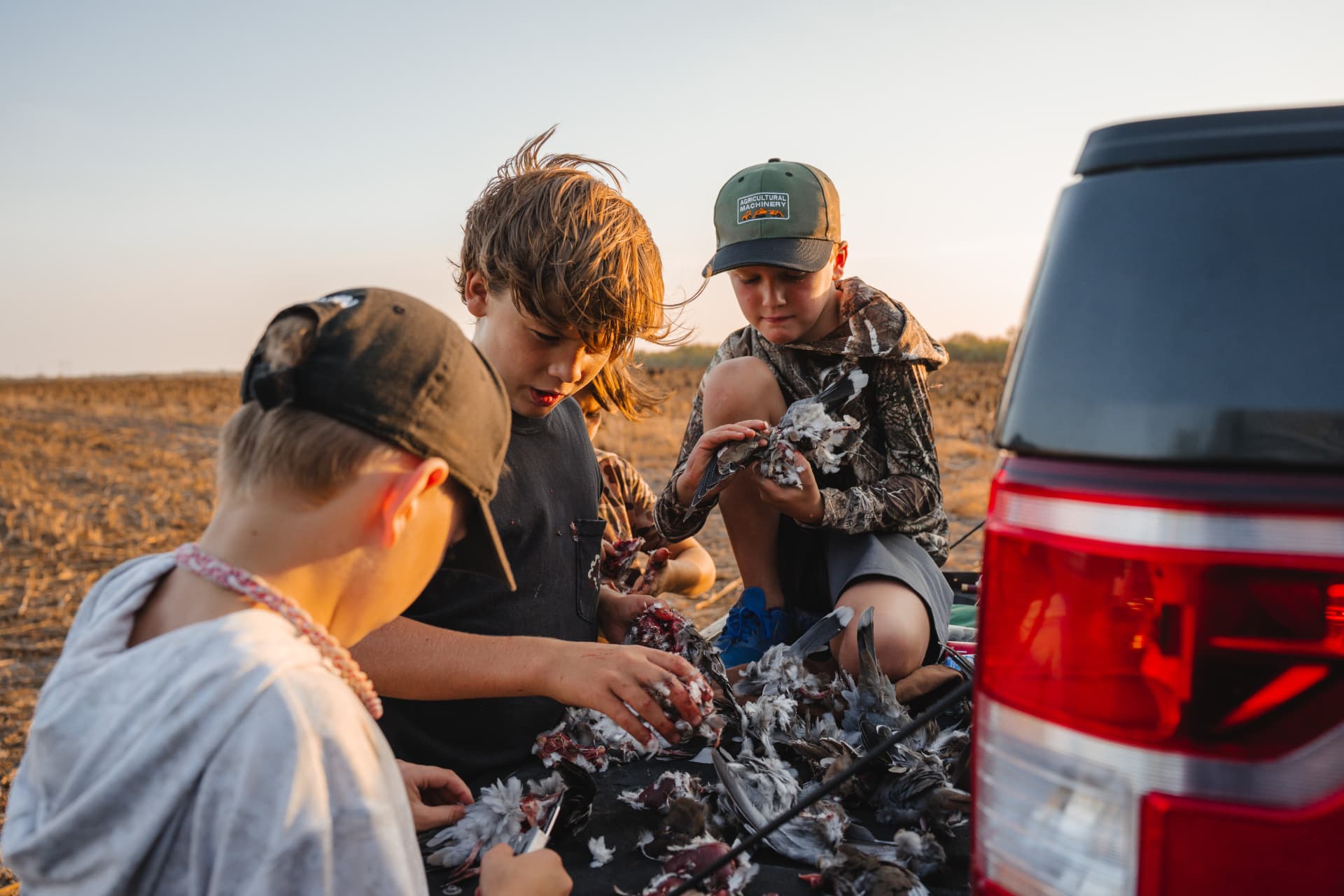 Young hunters cleaning doves on the tailgate