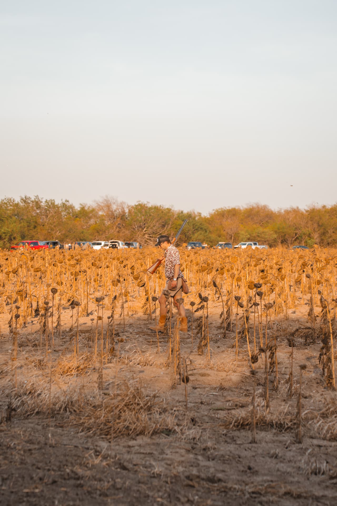 Dos Palomas 2026 dove hunt