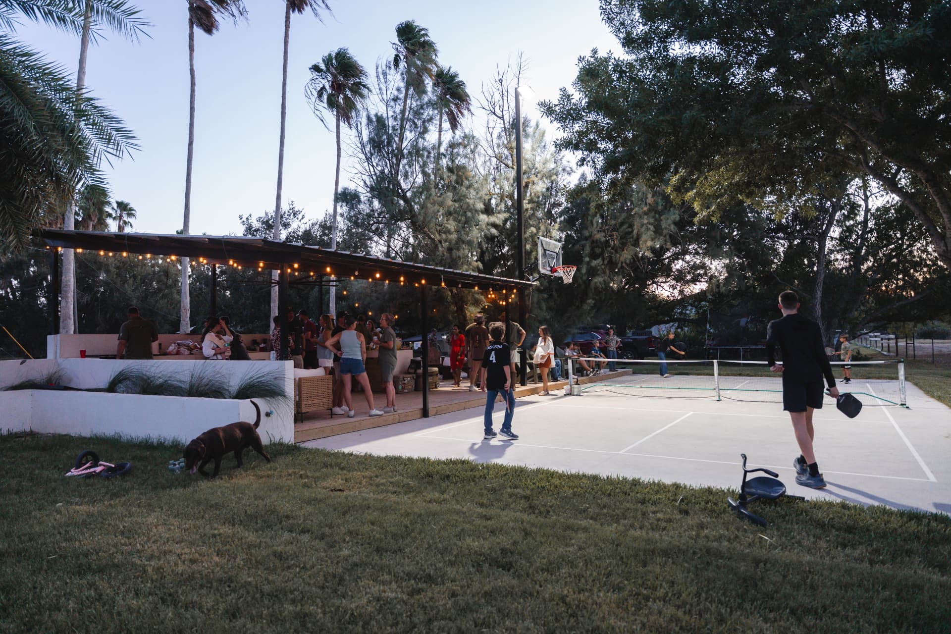 Family and dog on the lit pickleball court at dusk