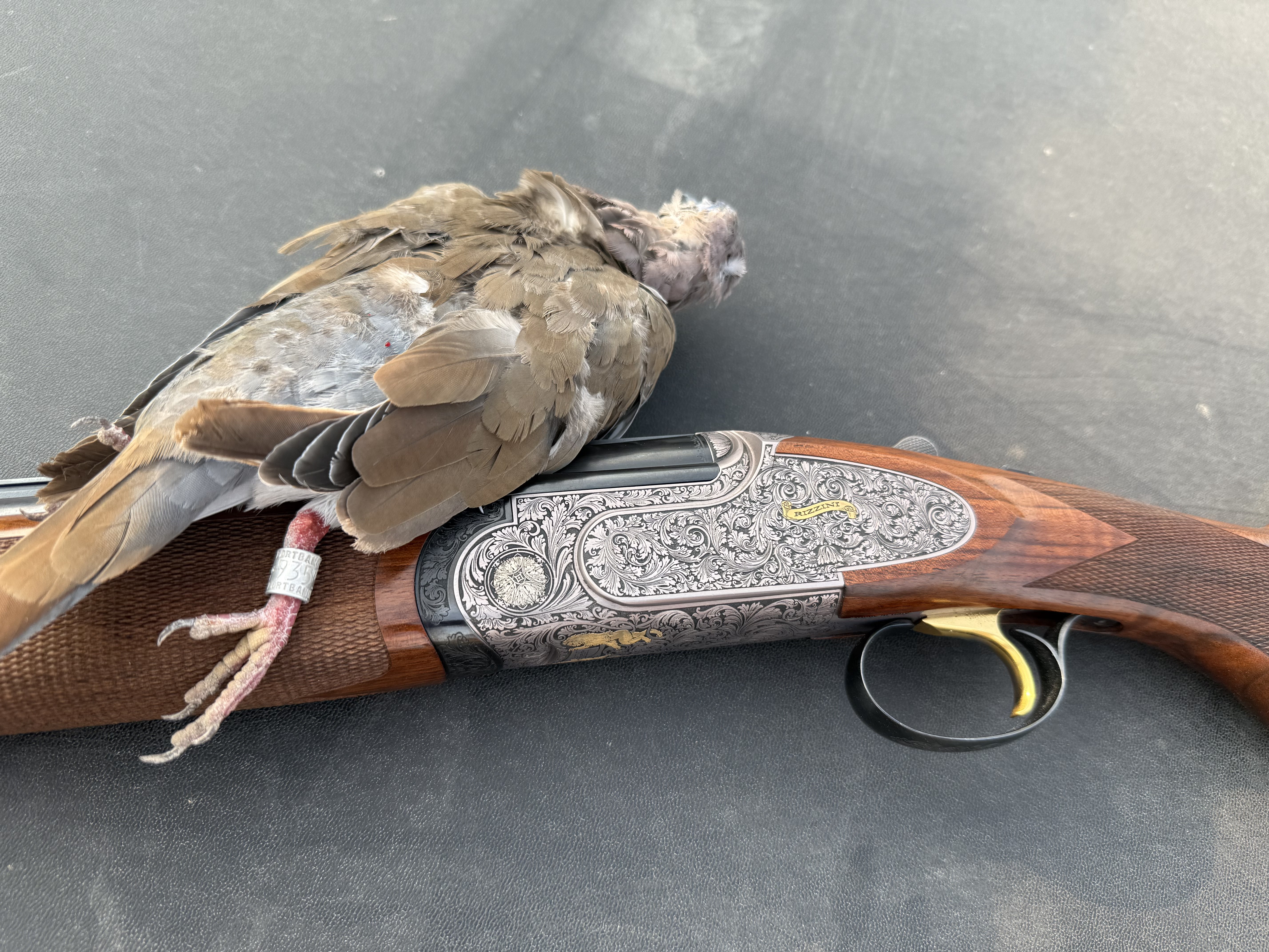 Engraved Rizzini over-under shotgun with a dove from the field