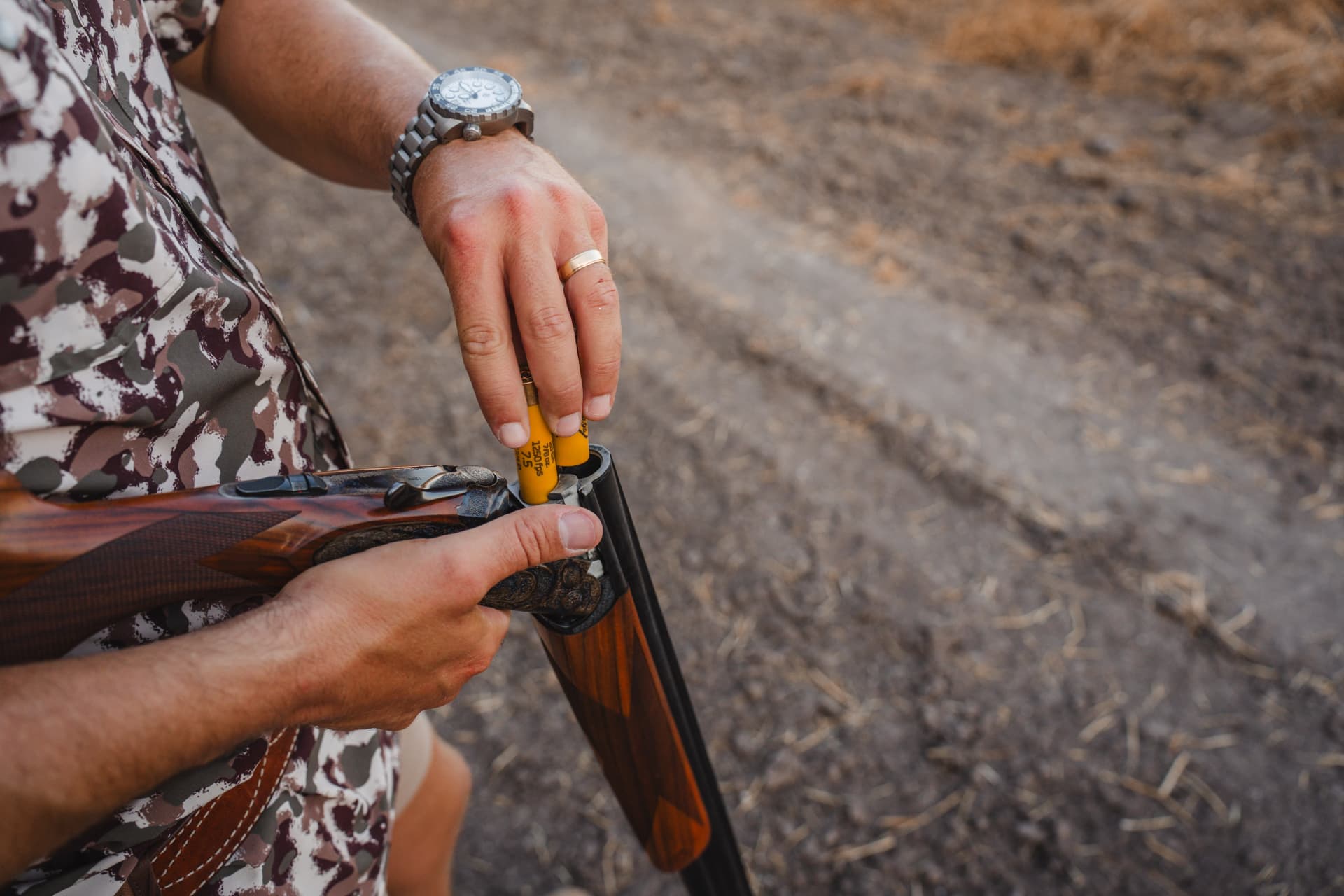 Dos Palomas 2026 dove hunt