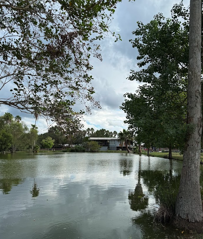 Pond view at the ranch framed by trees