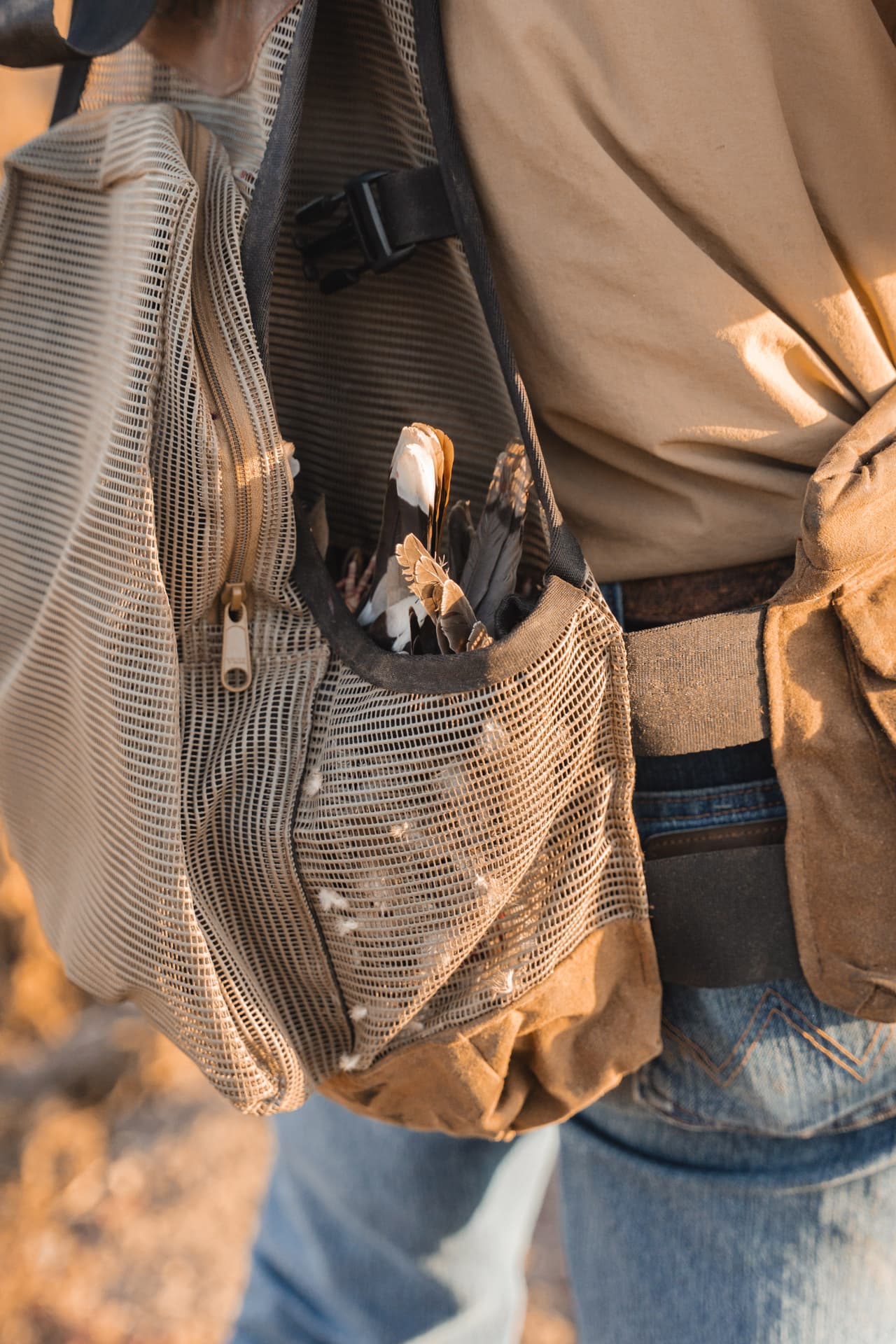 The day's doves tucked into the vest's game bag